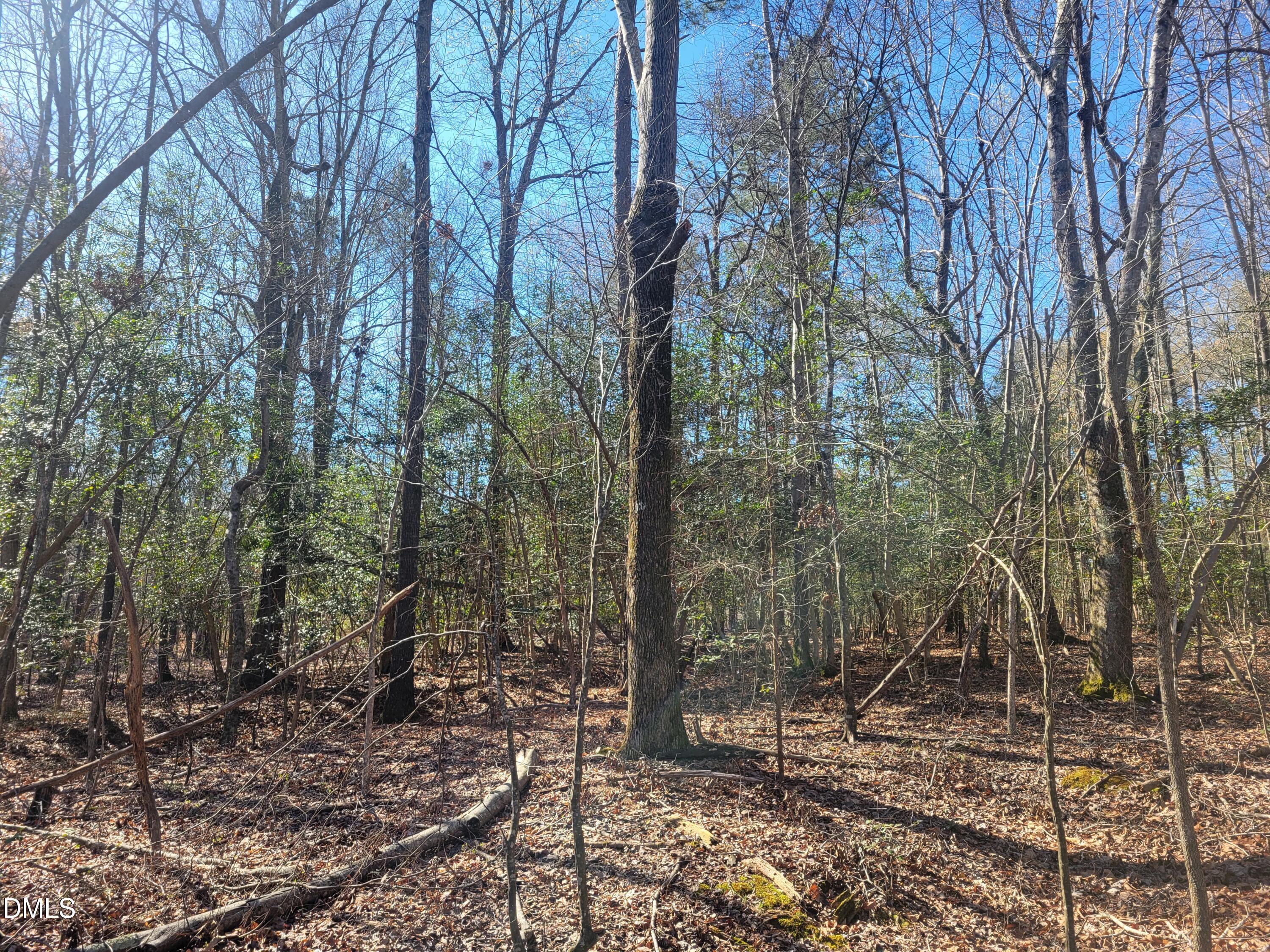 0 North Richardson Road Siler City, NC 27344 - Photo 30 of 33 a view of a forest filled with trees