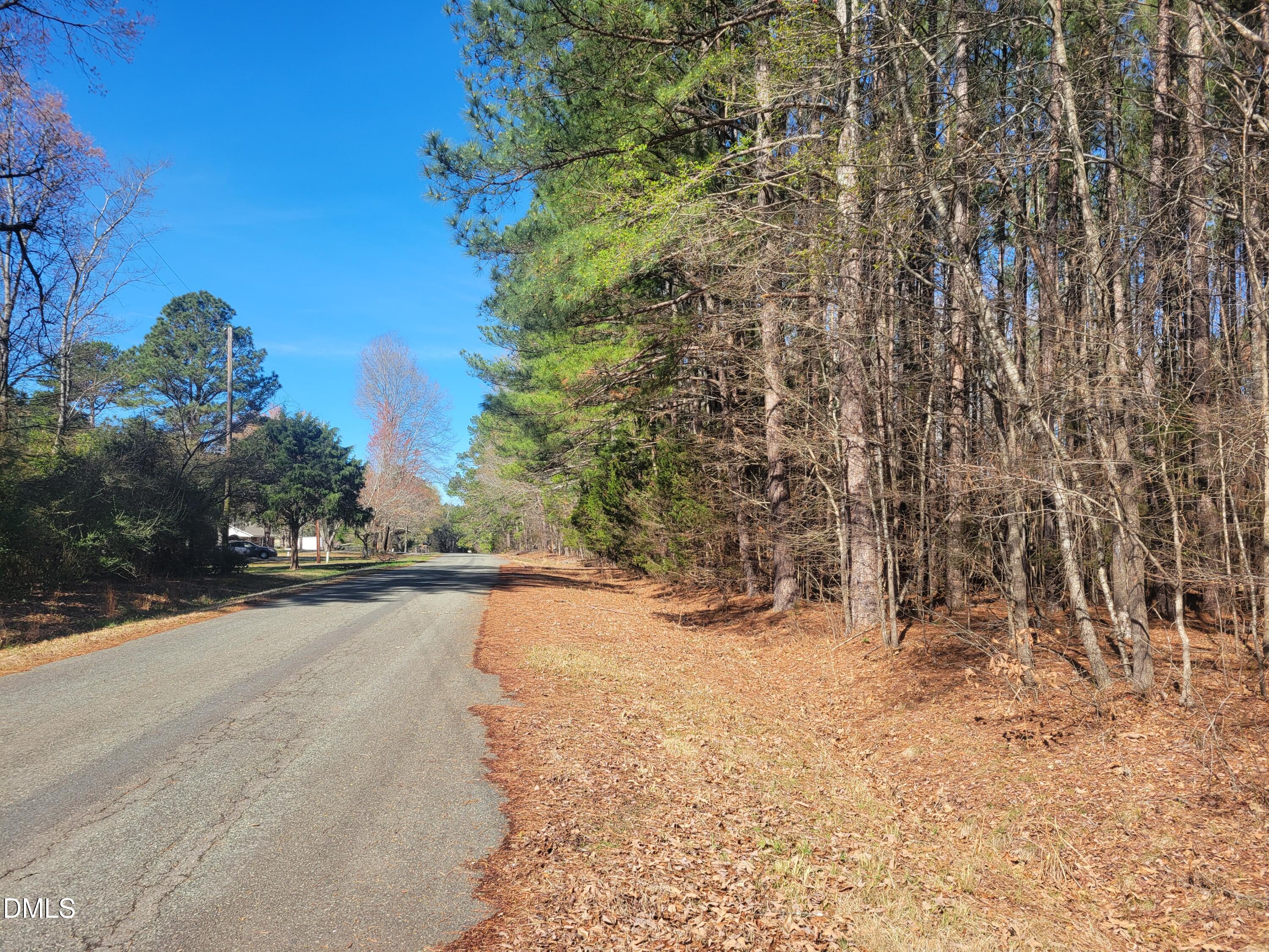 0 North Richardson Road Siler City, NC 27344 - Photo 31 of 33 a view of a yard covered with snow in middle of the road