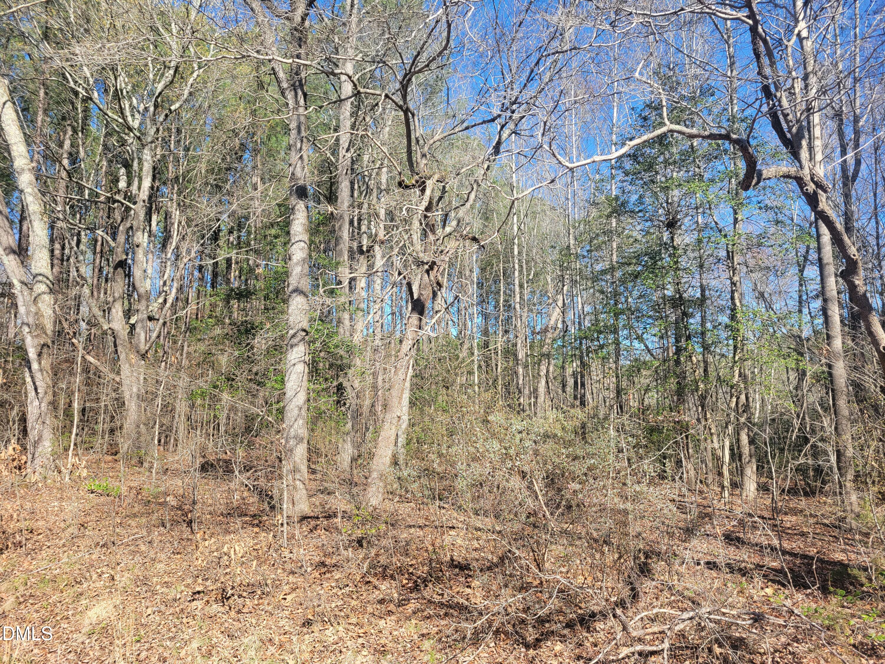 0 North Richardson Road Siler City, NC 27344 - Photo 33 of 33 a backyard of a building