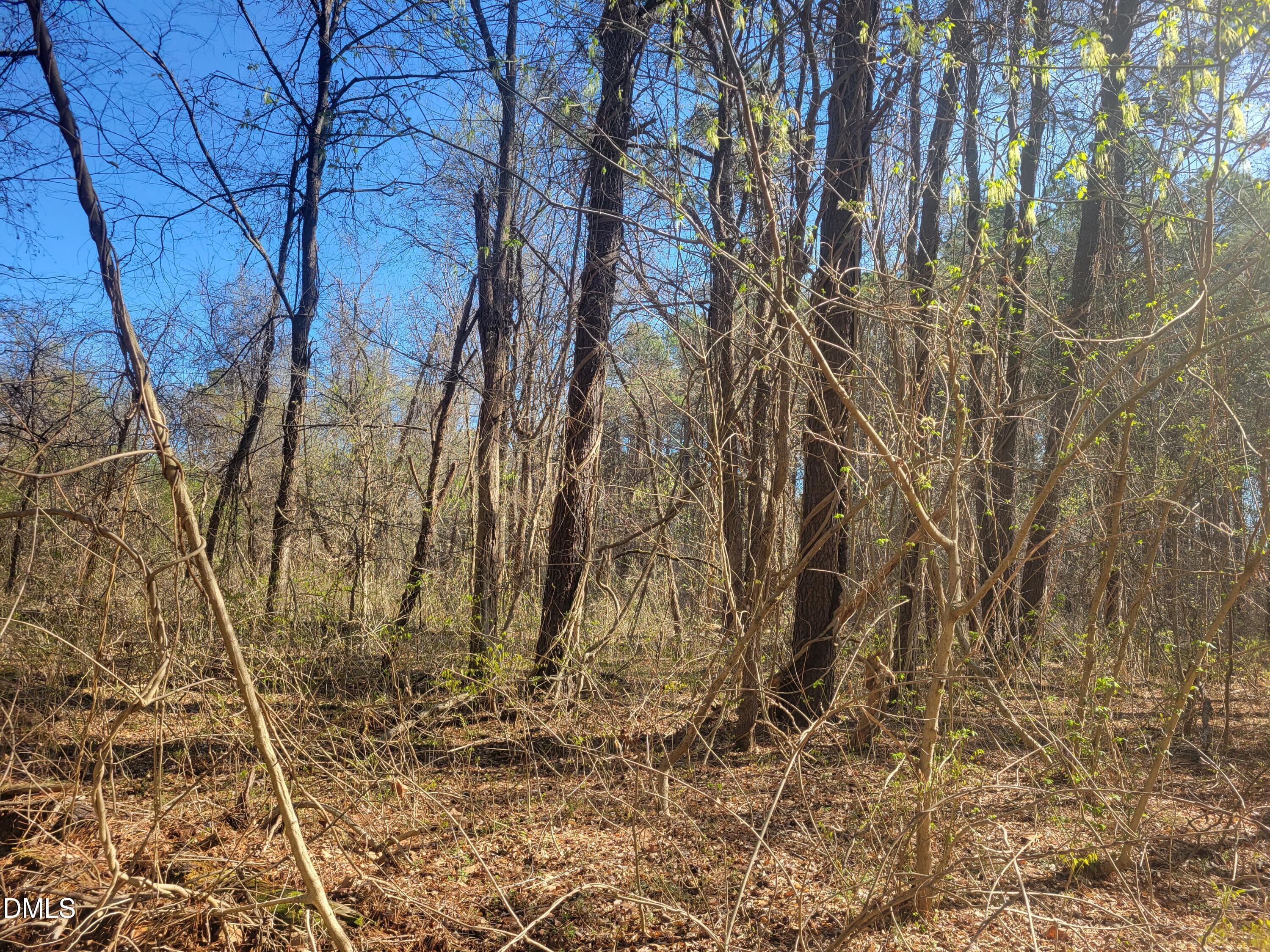 0 North Richardson Road Siler City, NC 27344 - Photo 9 of 33 a backyard of a house with lots of green space