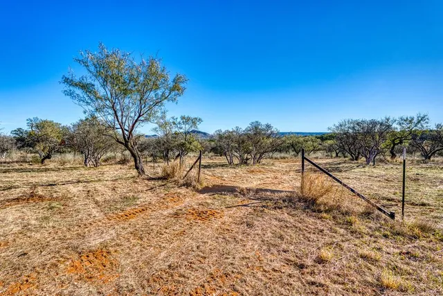 a view of a yard with a tree