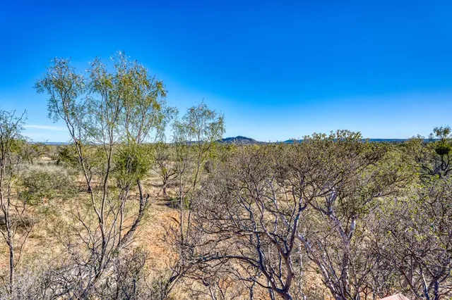 a view of a yard with large trees