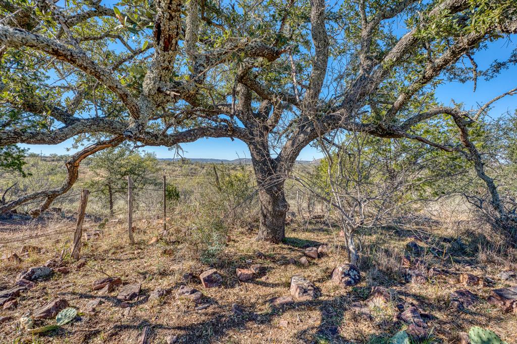 948 County Road 314 Llano, TX 78643 - Photo 33 of 40 a view of a yard with a tree