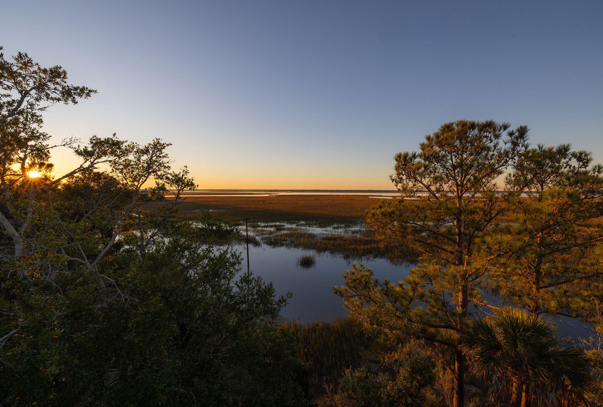 234 Old House Lane Dewees Island, SC 29429 - Photo 47 of 57 413A6586