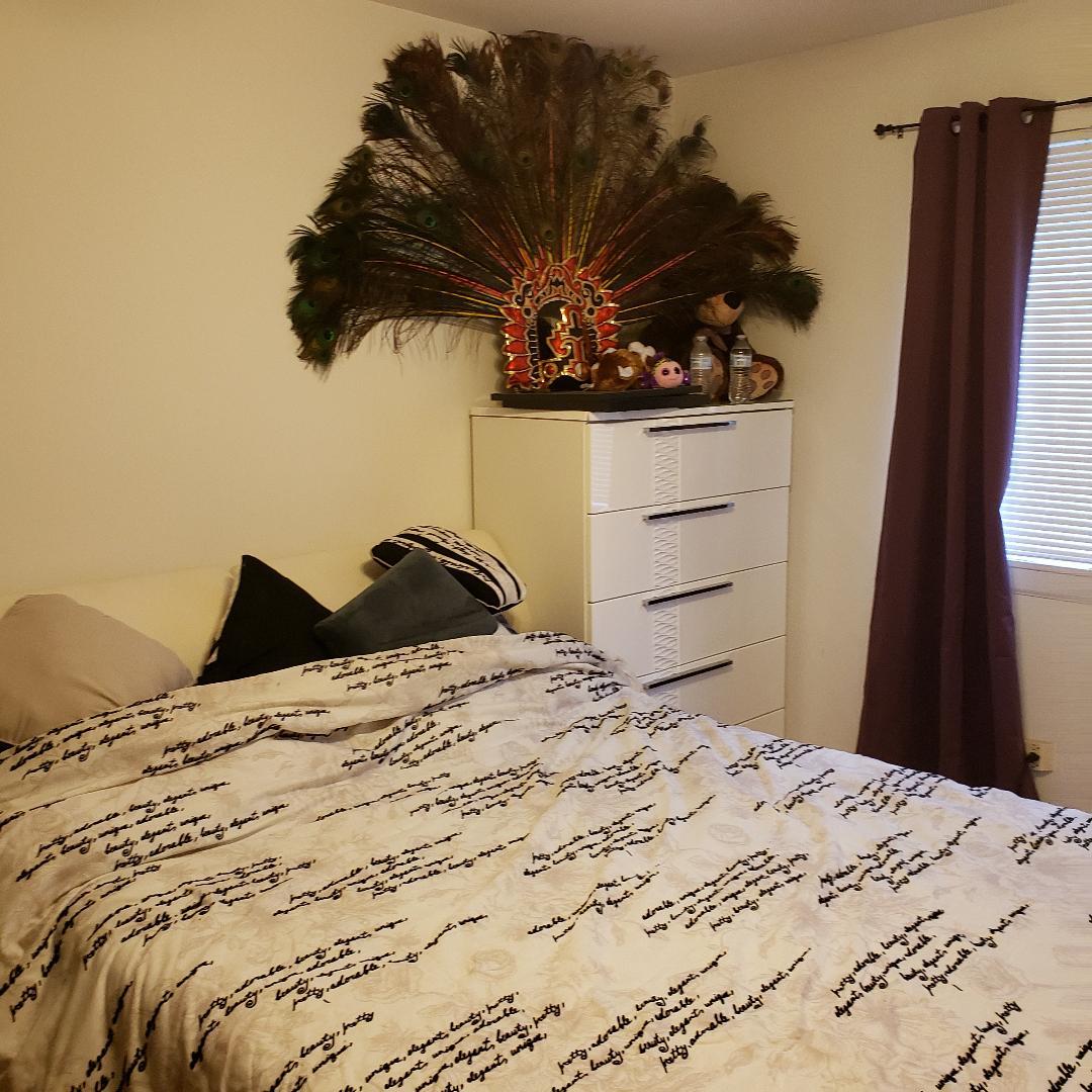 912 South Plum Grove Road, Unit 122 Palatine, IL 60067 - Photo 13 of 18 a view of a bedroom