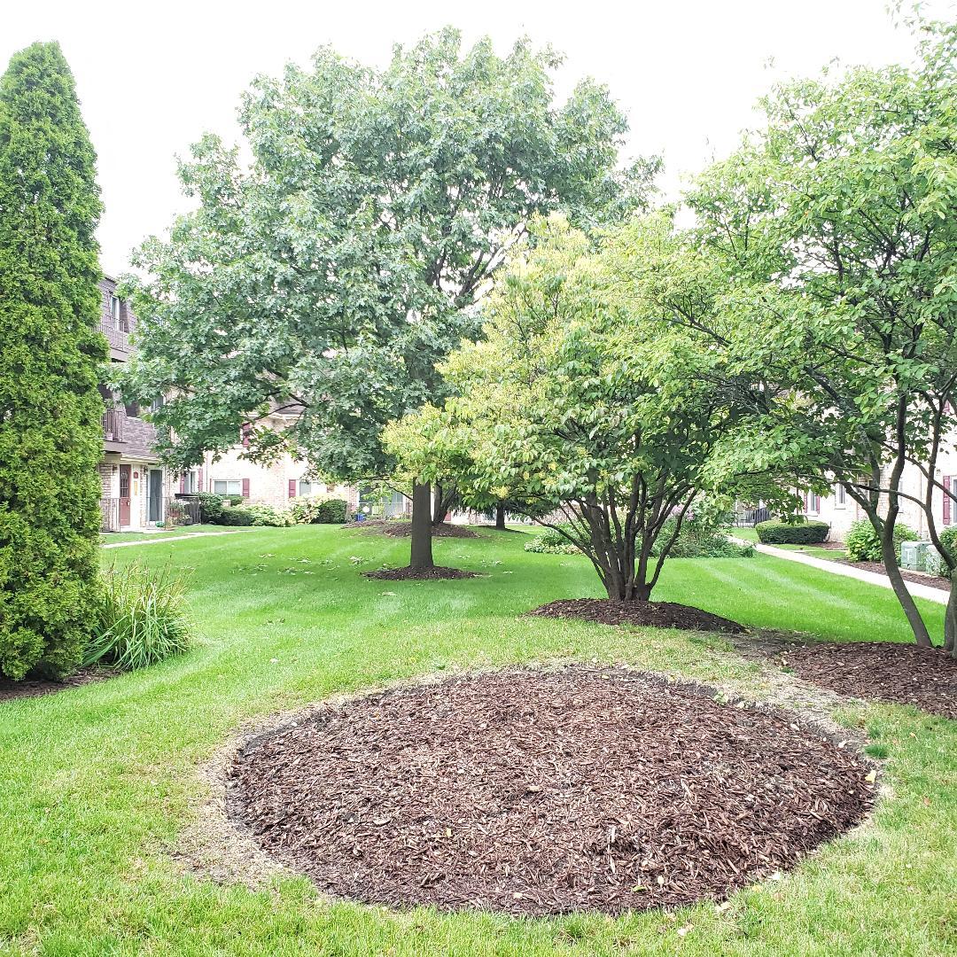 912 South Plum Grove Road, Unit 122 Palatine, IL 60067 - Photo 5 of 18 a view of green field with trees in the background