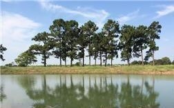005 Kiker Road Winnie, TX 77665 - Photo 1 of 1