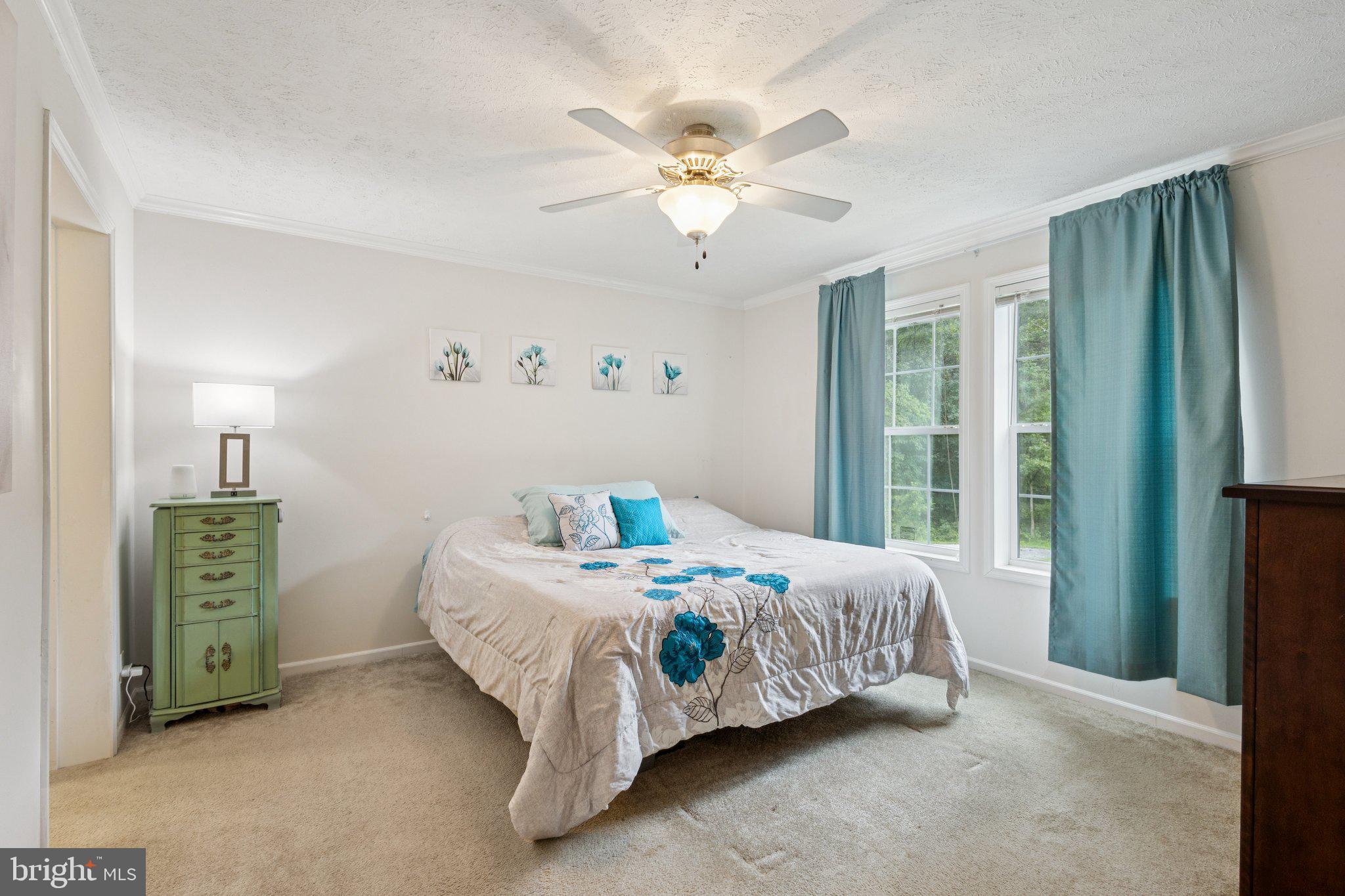 13153 Stonehouse Mountain Road Culpeper, VA 22701 - Photo 17 of 45 a bedroom with a bed and a chandelier