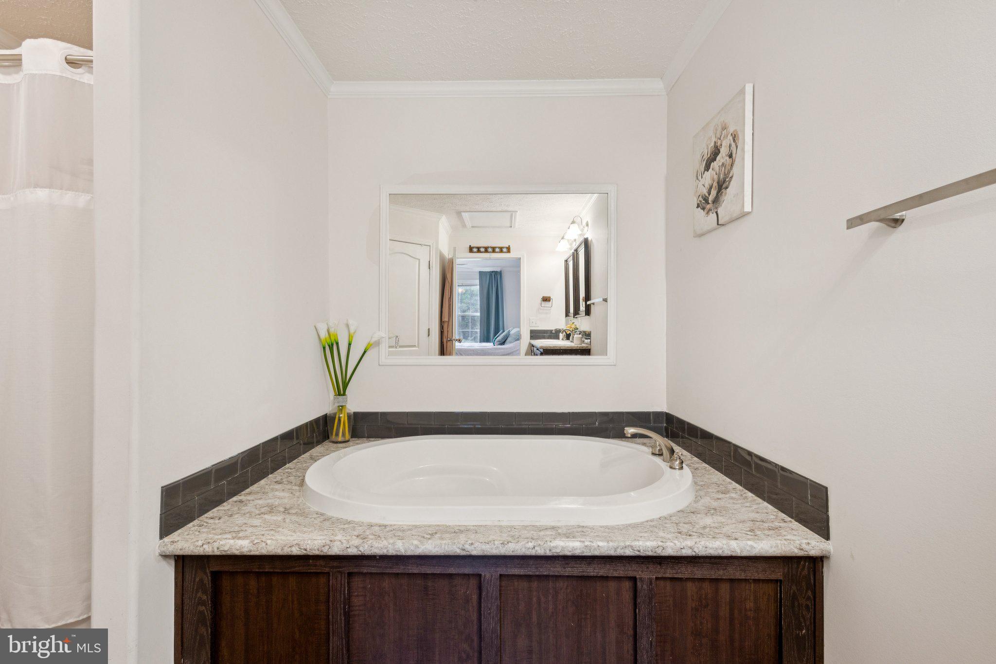 13153 Stonehouse Mountain Road Culpeper, VA 22701 - Photo 20 of 45 a bathroom with a granite countertop sink and a mirror
