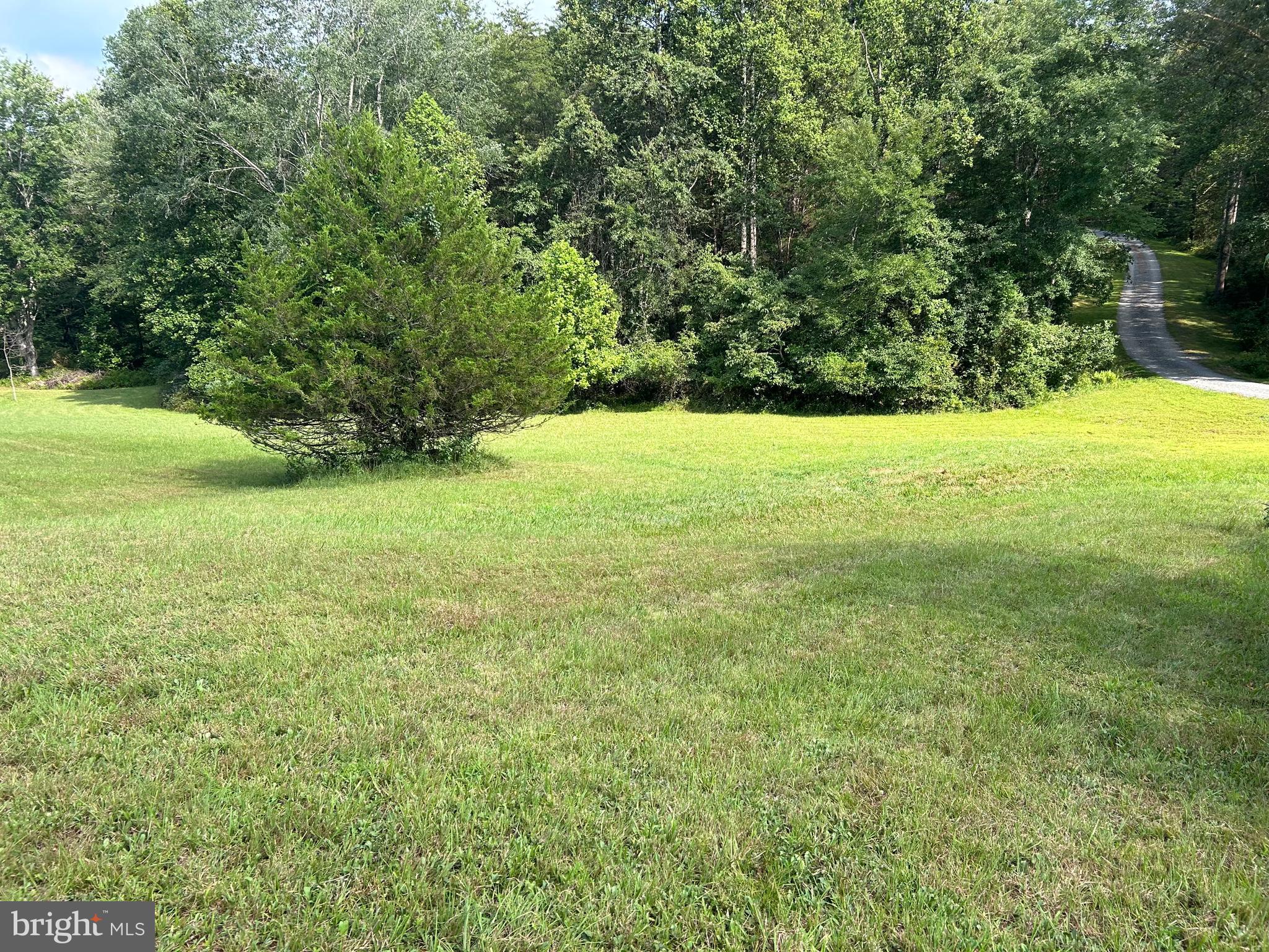 13153 Stonehouse Mountain Road Culpeper, VA 22701 - Photo 39 of 45 a view of yard with green space