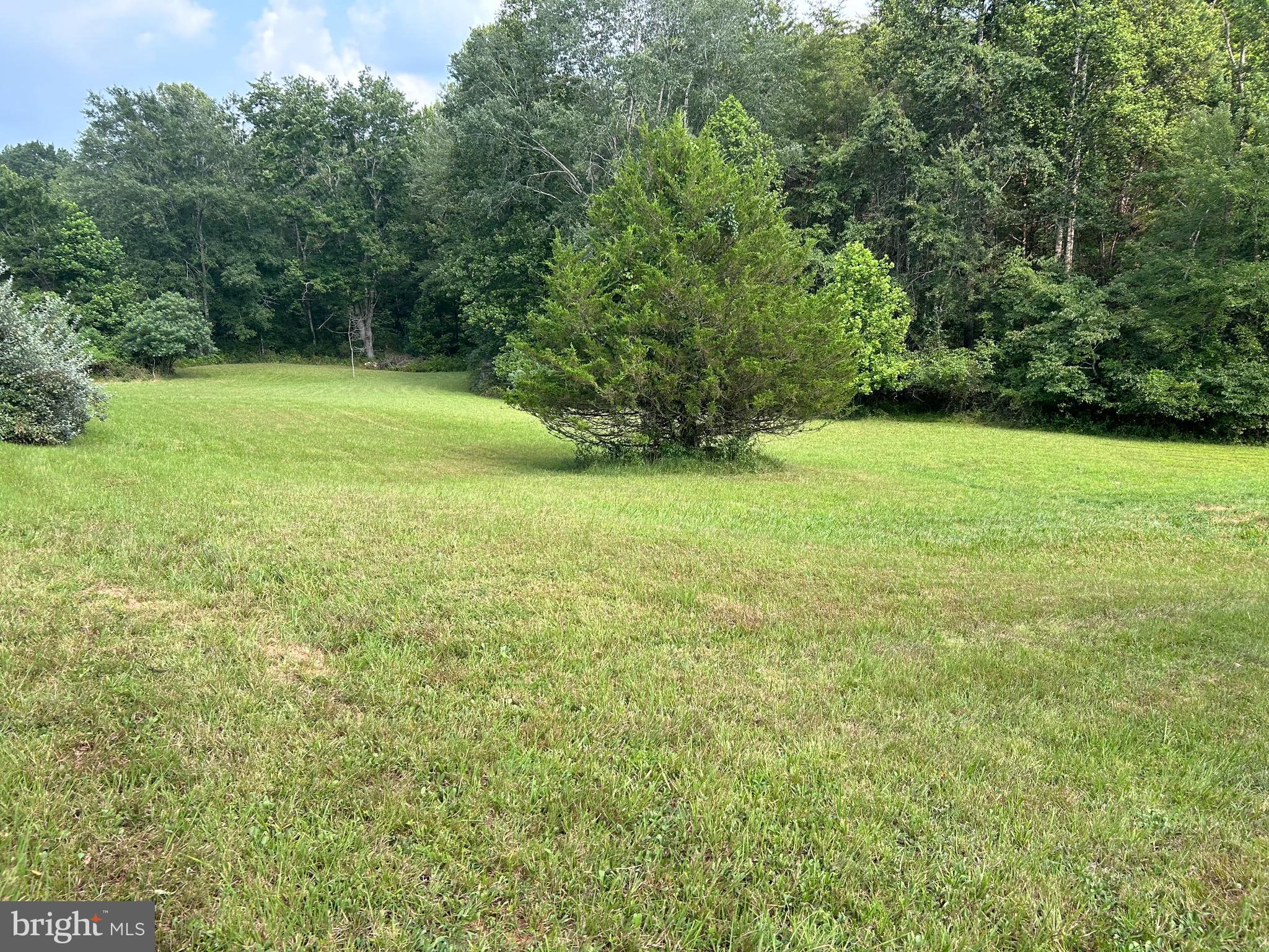 13153 Stonehouse Mountain Road Culpeper, VA 22701 - Photo 40 of 45 a view of a field with a trees in the background