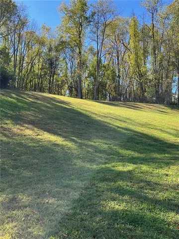 a view of a yard with large trees