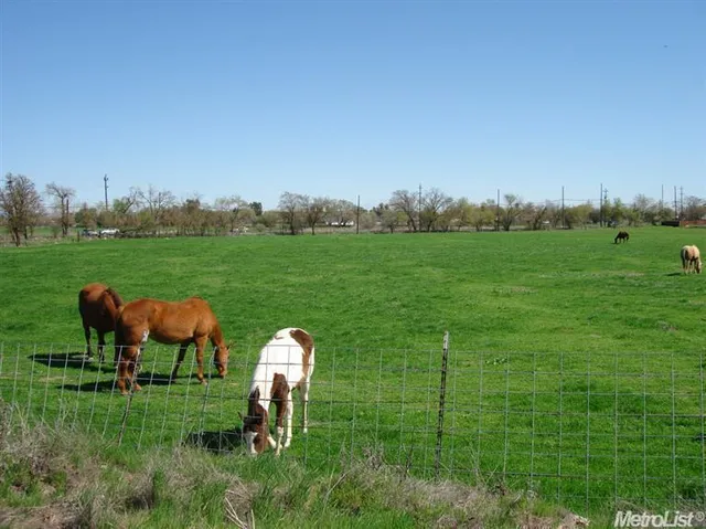 a view of a field with an ocean view