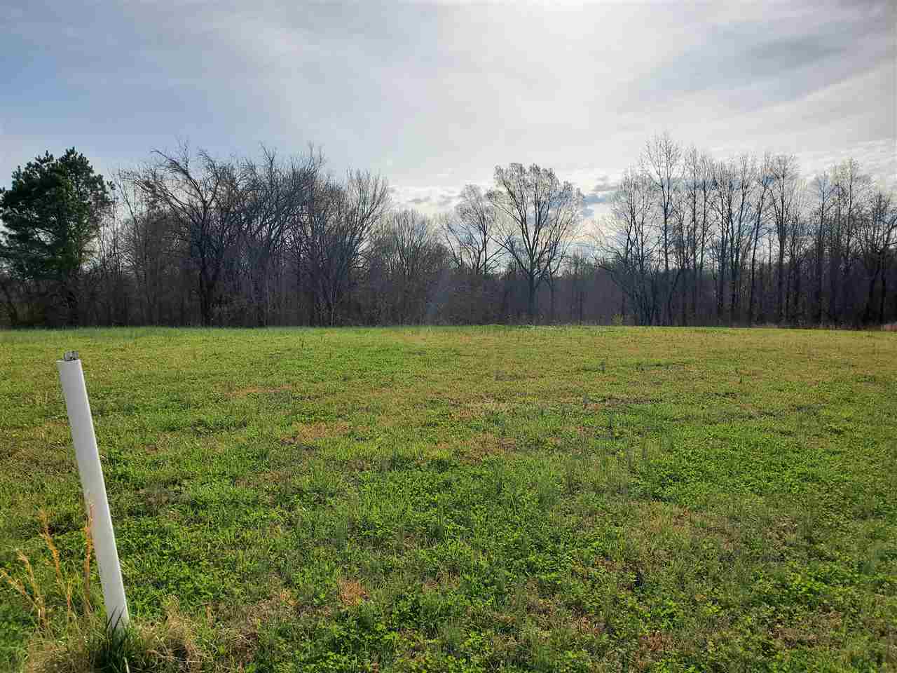 1 Chisholm Lake Road Ripley, TN 38063 - Photo 1 of 4