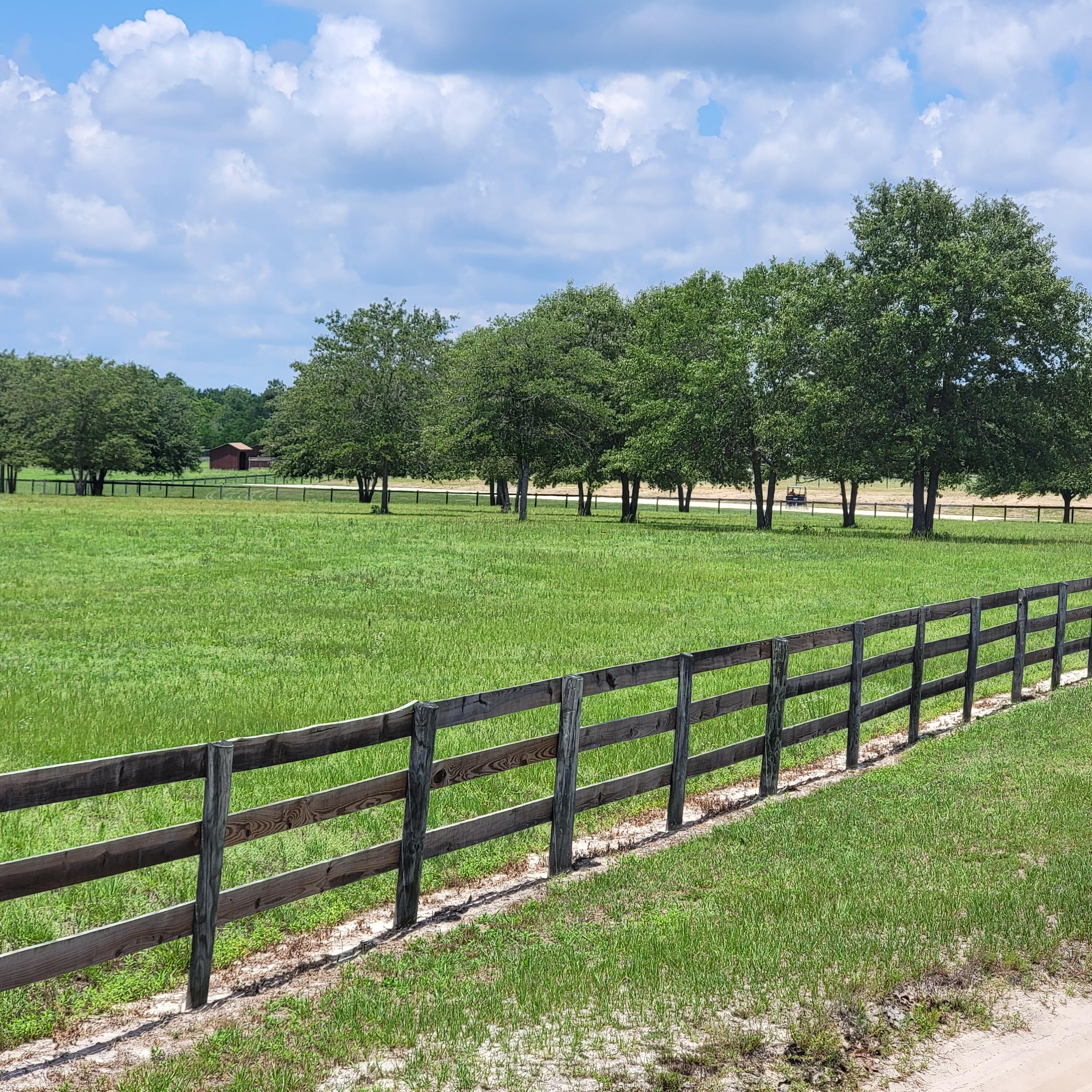 0 Riker Trail Windsor, SC 29856 - Photo 11 of 21