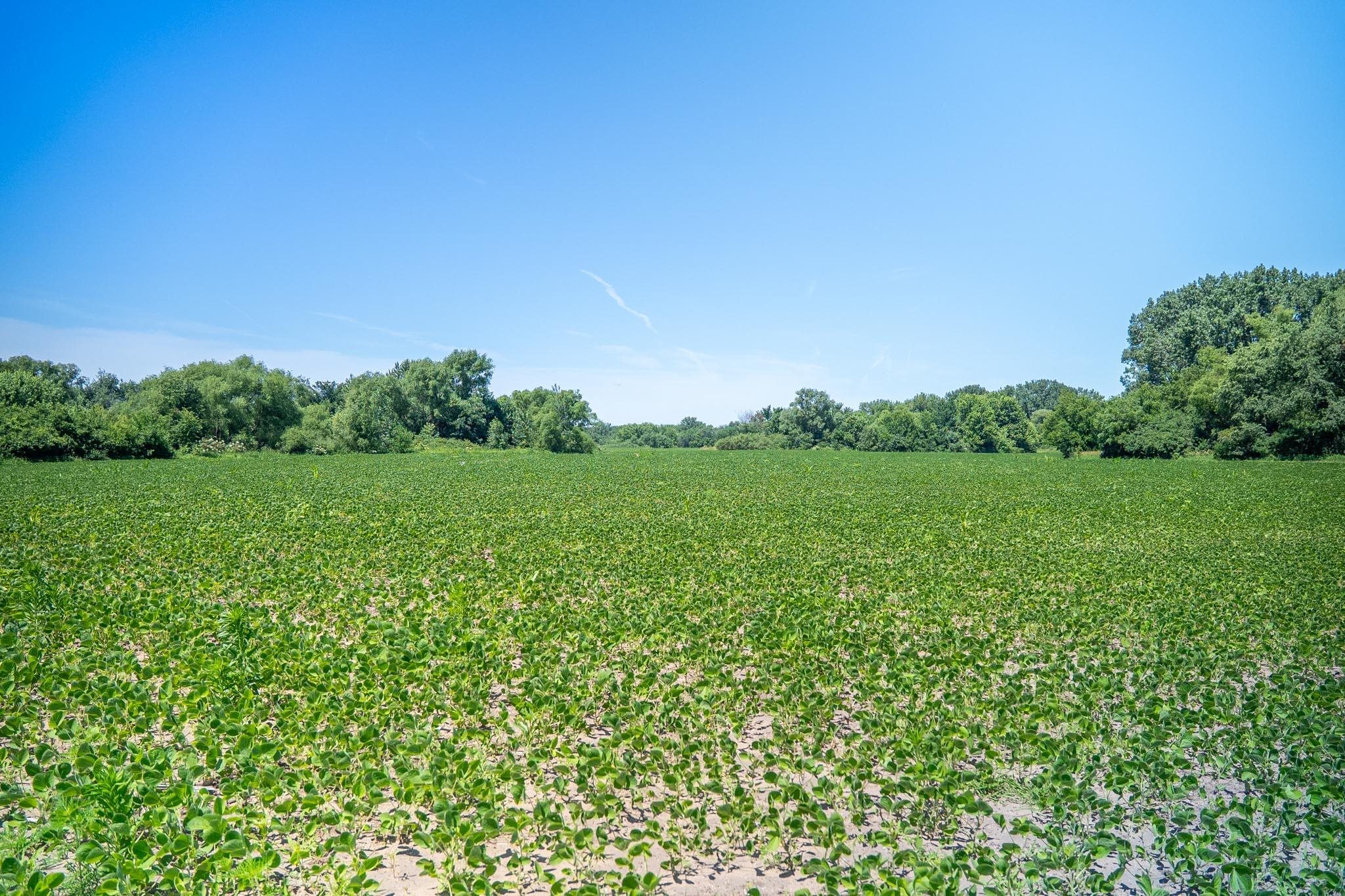 0 Inlet Road Amboy, IL 61310 - Photo 61 of 83