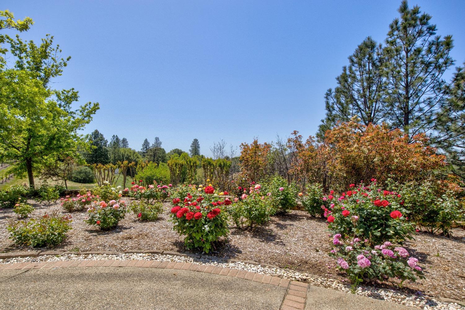 13320 Oakstream Road Plymouth, CA 95669 - Photo 54 of 98