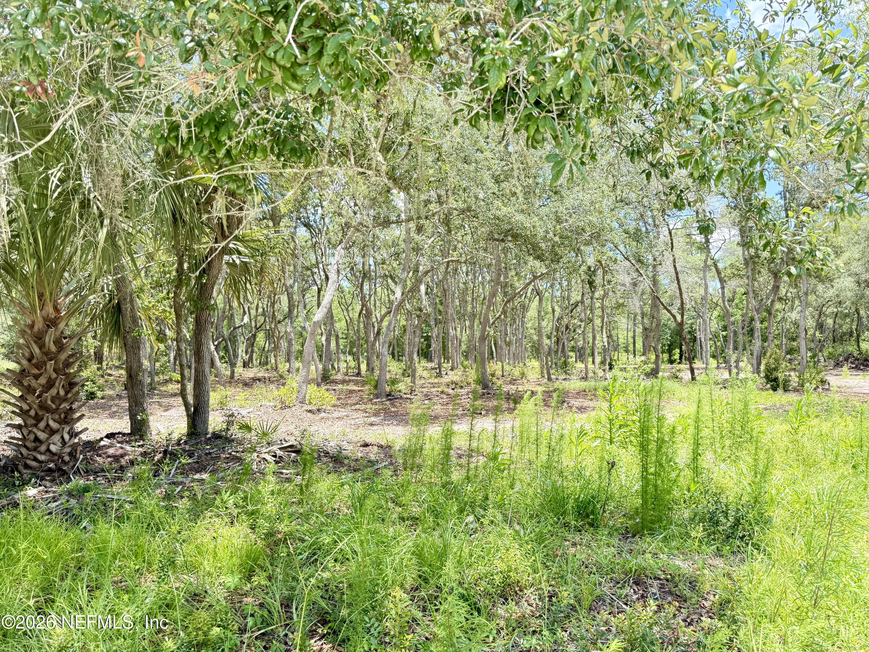 438 Chamberlain Road Satsuma, FL 32189 - Photo 5 of 21 IMG_2951