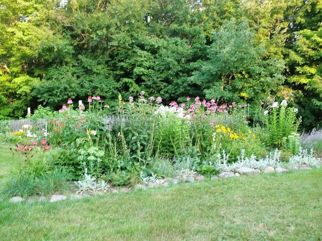 763 Beach Pond Road Wolfeboro, NH 03894 - Photo 4 of 28