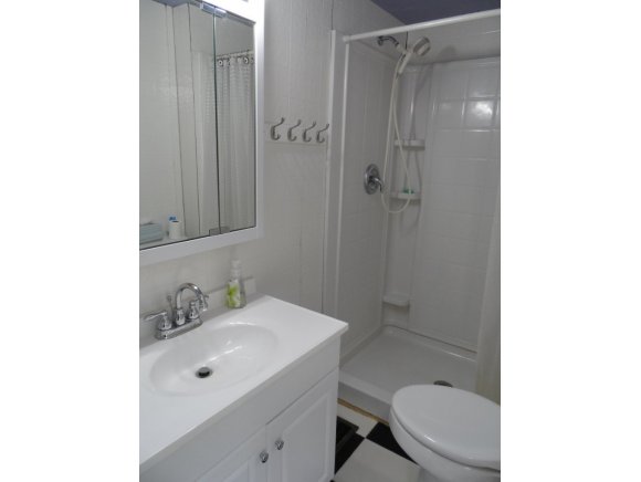 3136 East River Road Nichols, NY 13812 - Photo 10 of 12 Gallery Image 10