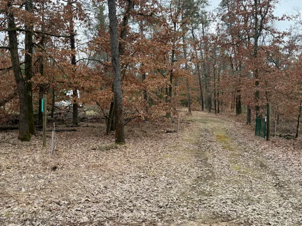 $55,000 | 3225 West 1 1/2 Mile Road, Baldwin, MI 49304