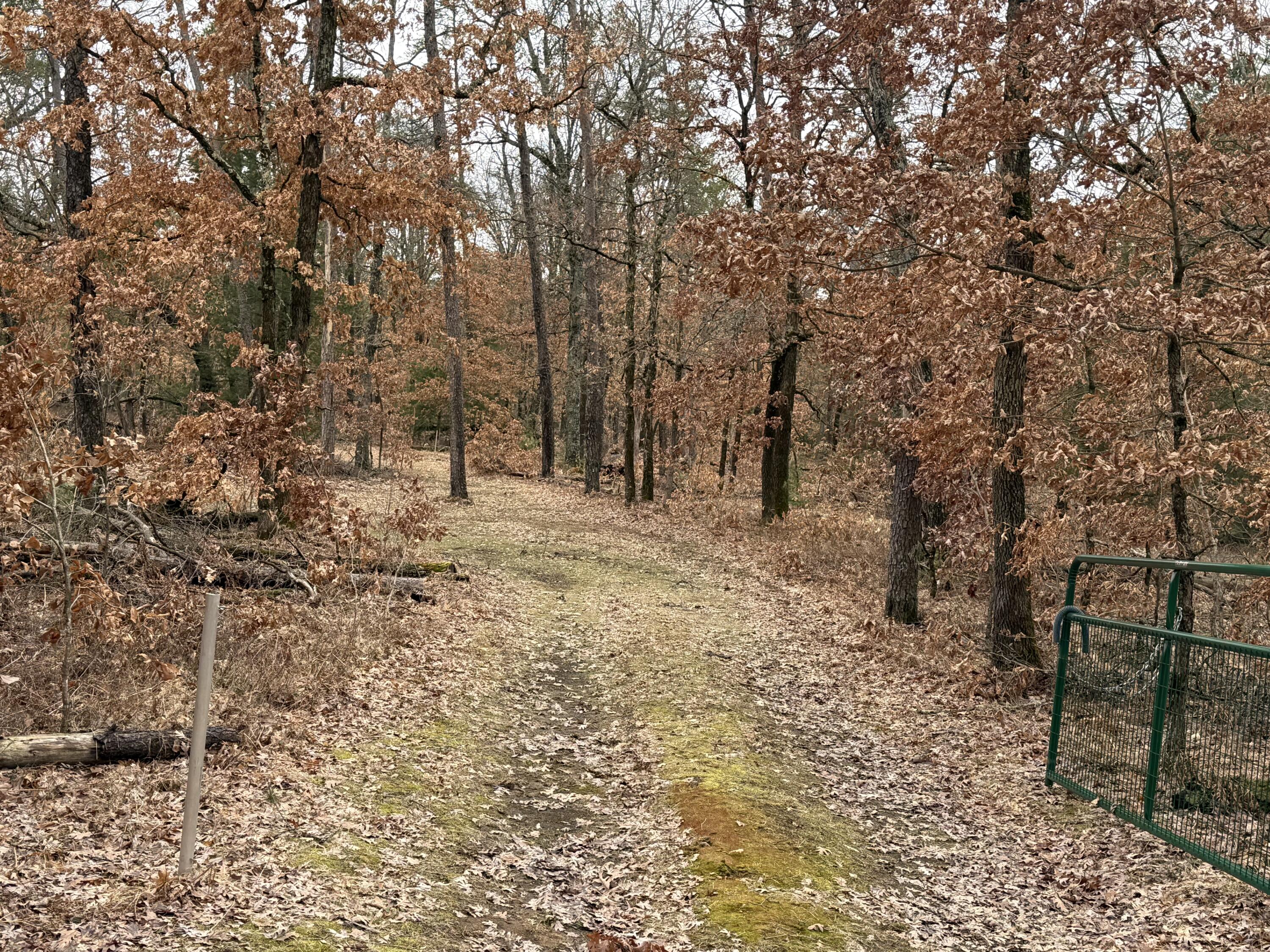 3225 West 1 1/2 Mile Road Baldwin, MI 49304 - Photo 3 of 18 IMG_1081