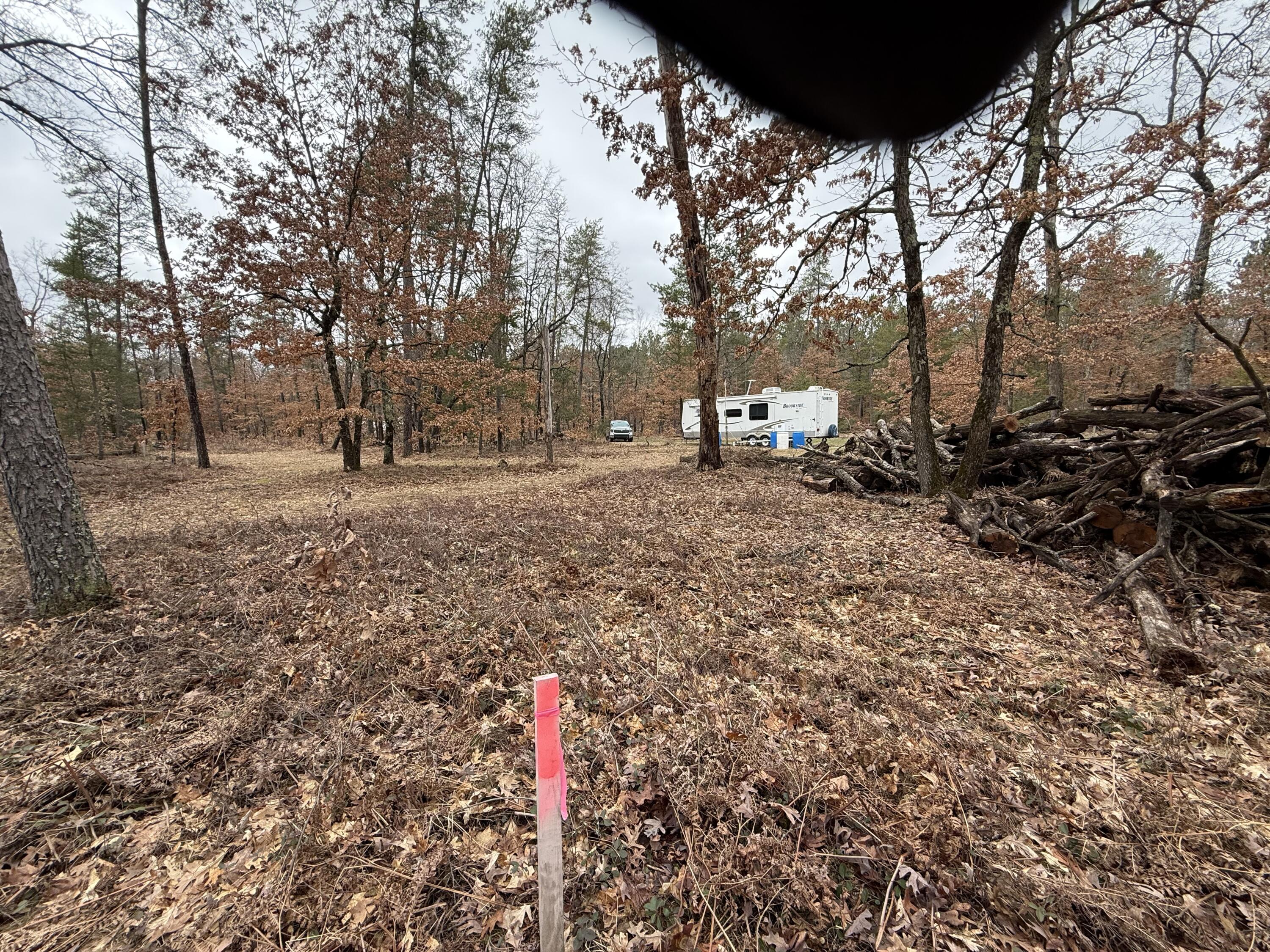 3225 West 1 1/2 Mile Road Baldwin, MI 49304 - Photo 5 of 18 IMG_1088