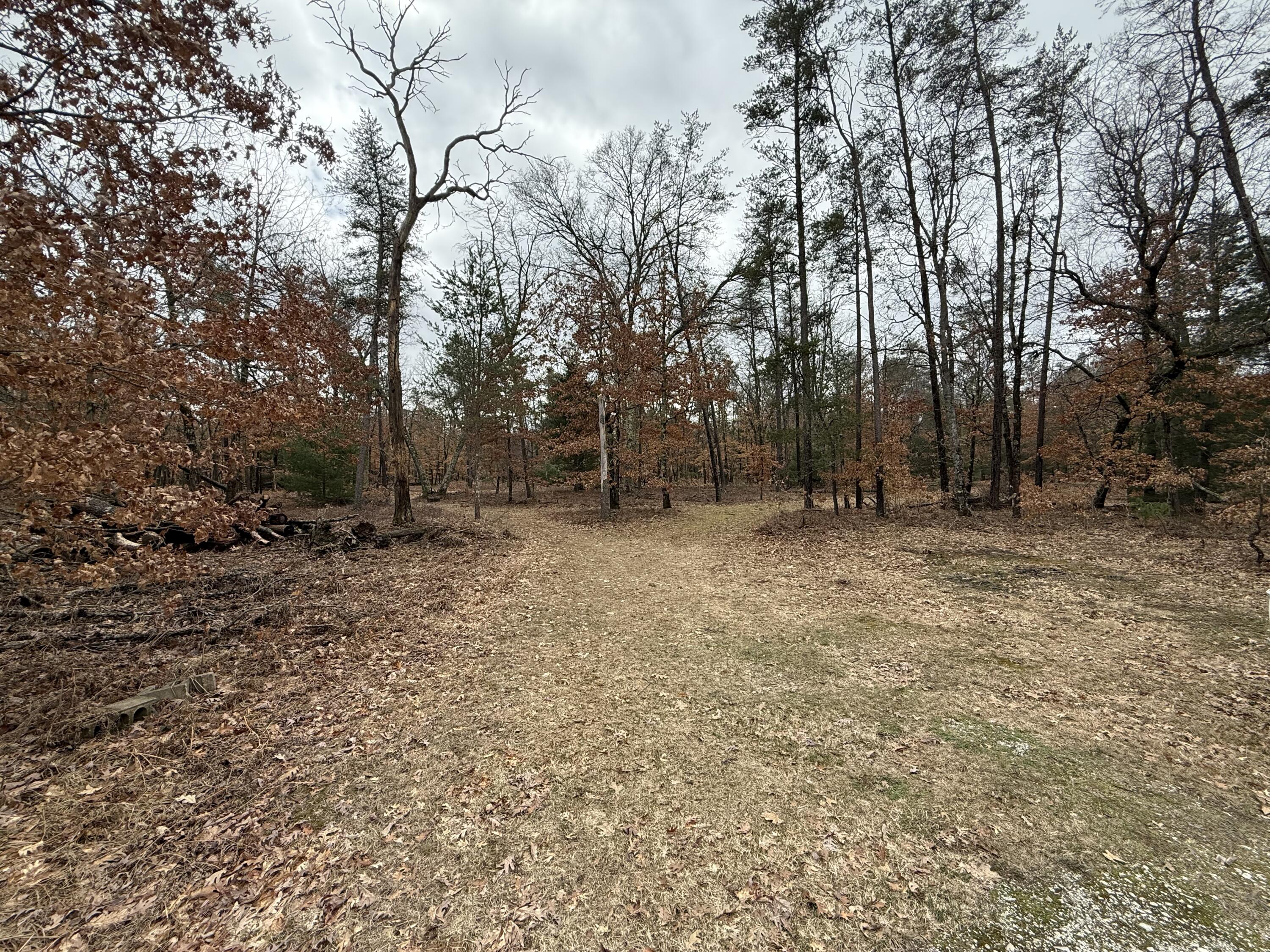 3225 West 1 1/2 Mile Road Baldwin, MI 49304 - Photo 6 of 18 IMG_1086