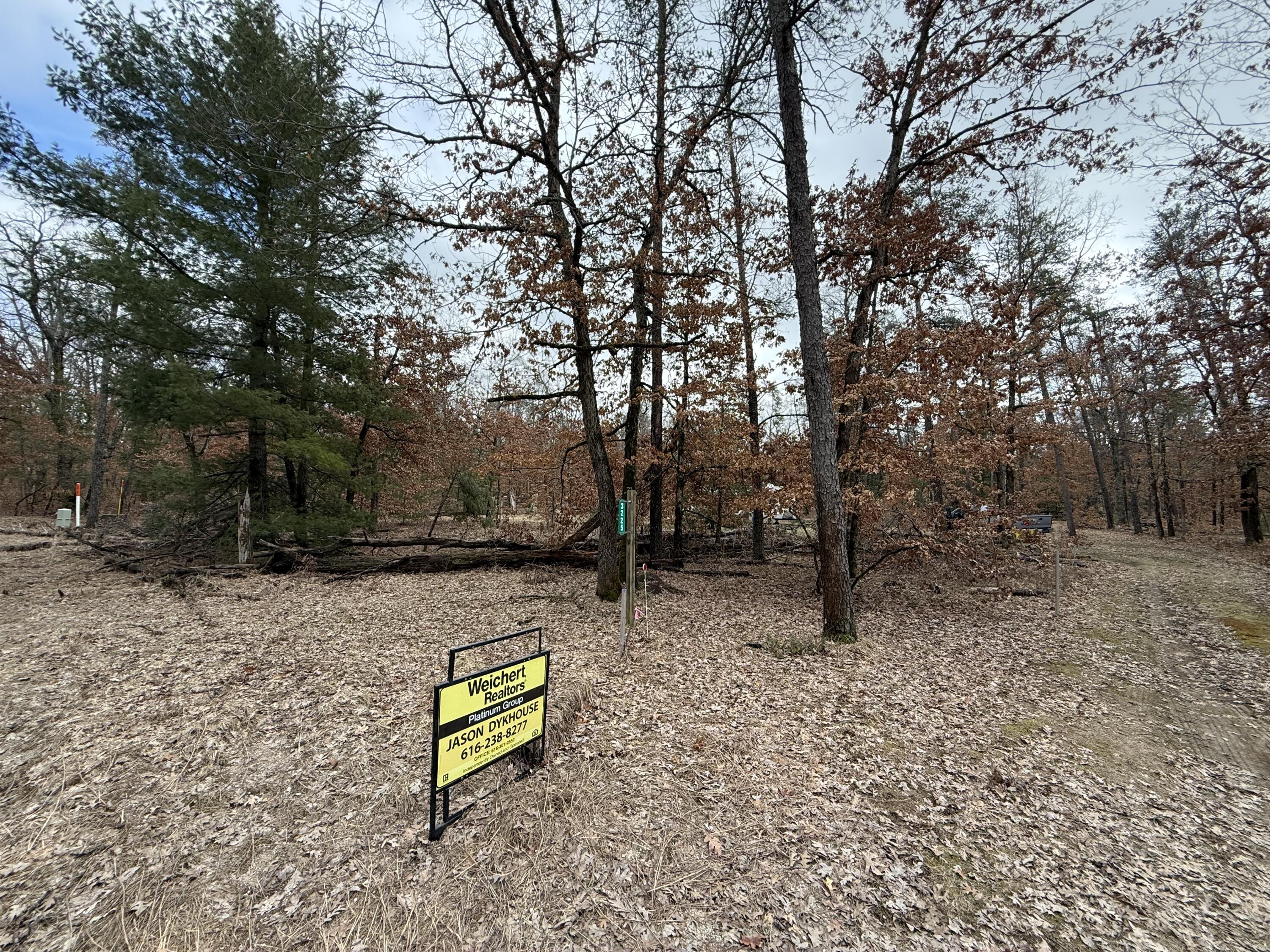 3225 West 1 1/2 Mile Road Baldwin, MI 49304 - Photo 6 of 21 IMG_1094