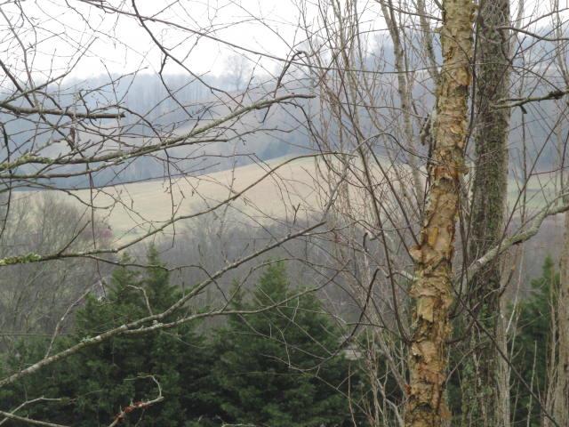 180 Bankshire Road Beechgrove, TN 37018 - Photo 19 of 20 View of the mountains from the front yard