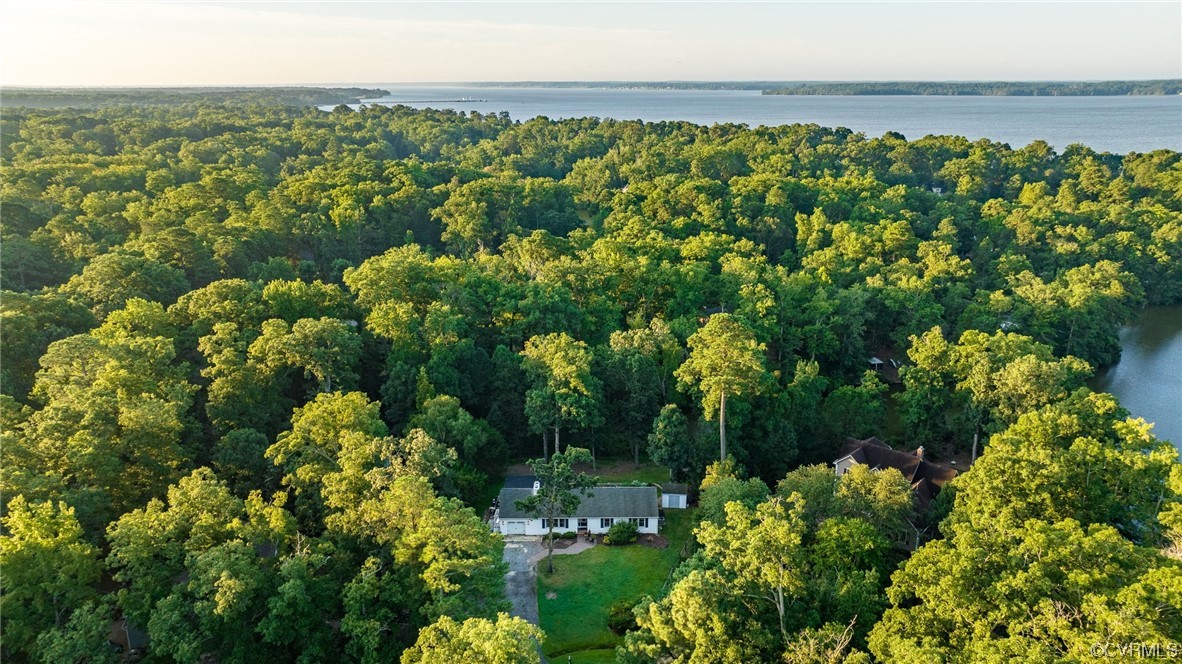a view of a bunch of flowers
