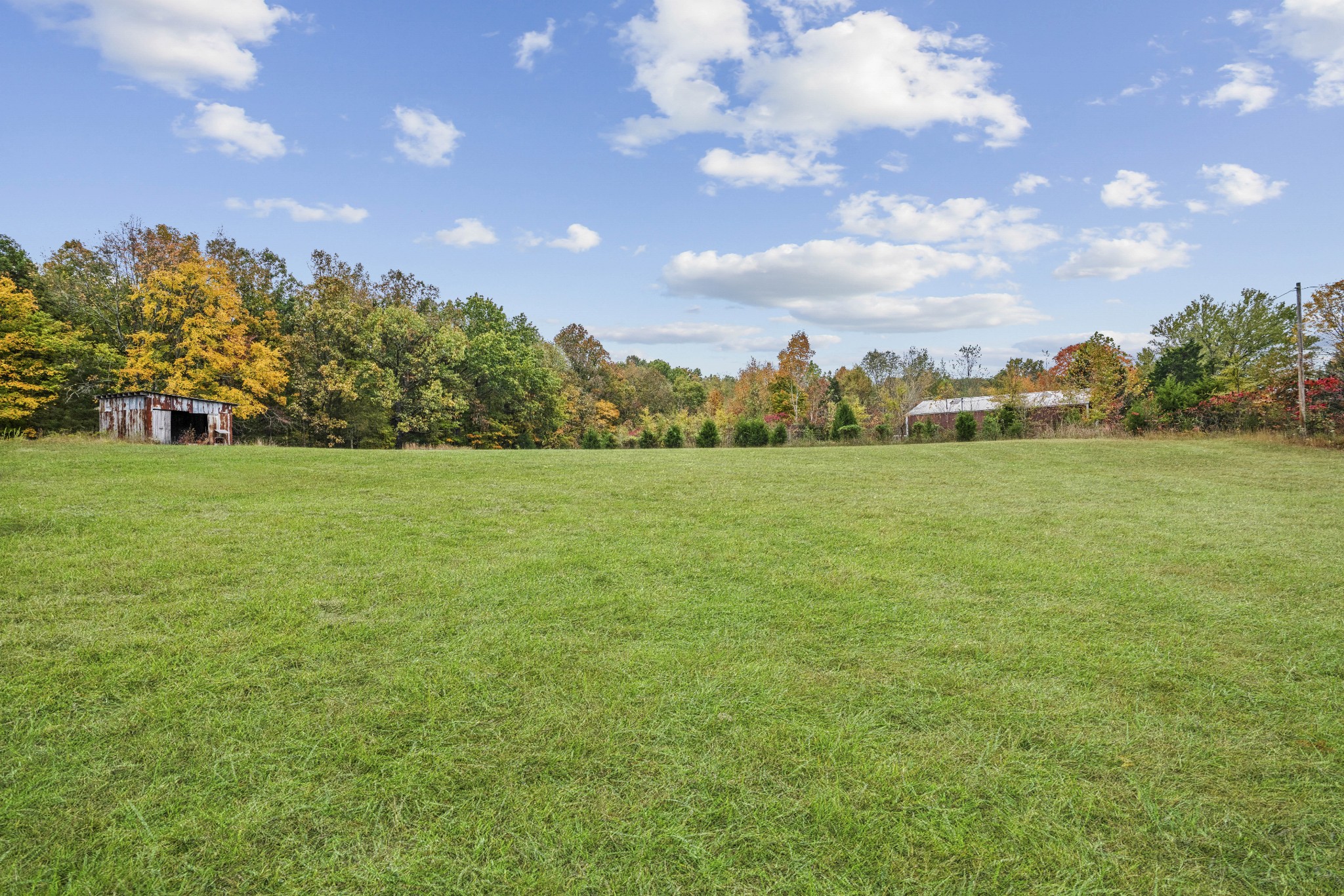 3320 Slayden-Marion Road Cumberland Furnace, TN 37051 - Photo 33 of 43 a view of a field with an trees in the background