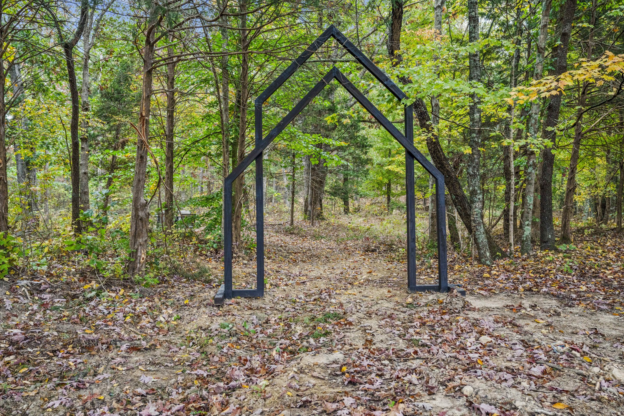 3320 Slayden-Marion Road Cumberland Furnace, TN 37051 - Photo 42 of 43 a view of a forest filled with trees