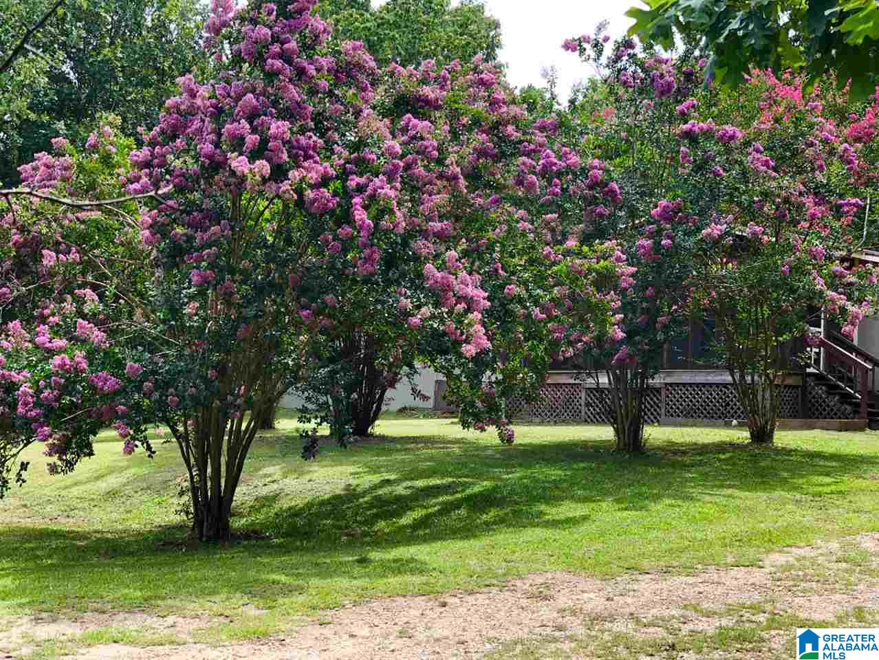 1661 Roy Webb Cutoff Road Piedmont, AL 36272 - Photo 39 of 41