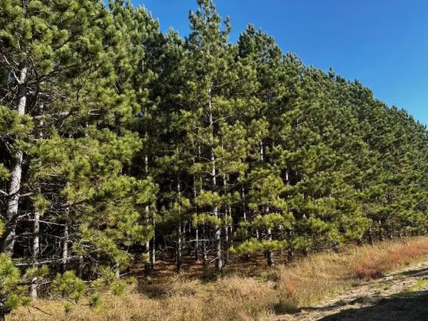 $66,000 | Xxx Emerald Court Northeast, Alexandria, MN 56308