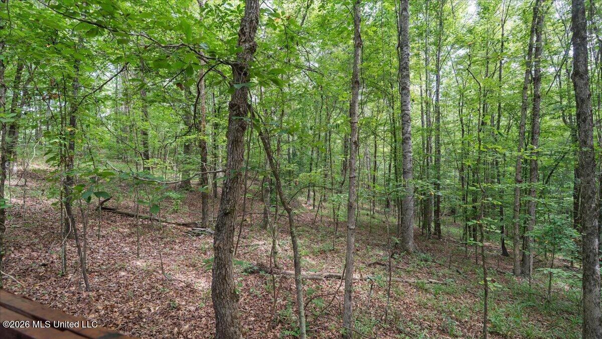 664 Mt Zion Road, Unit 664 Camden, MS 39045 - Photo 28 of 45 24-IMG_3689