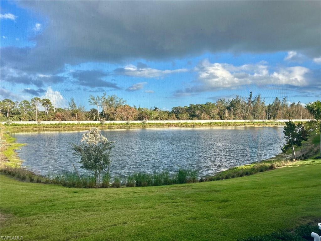 8892 Nevis Way Naples, FL 34113 - Photo 5 of 5 a view of a lake with a big yard