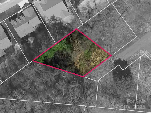 a close up of a walk in a outdoor space