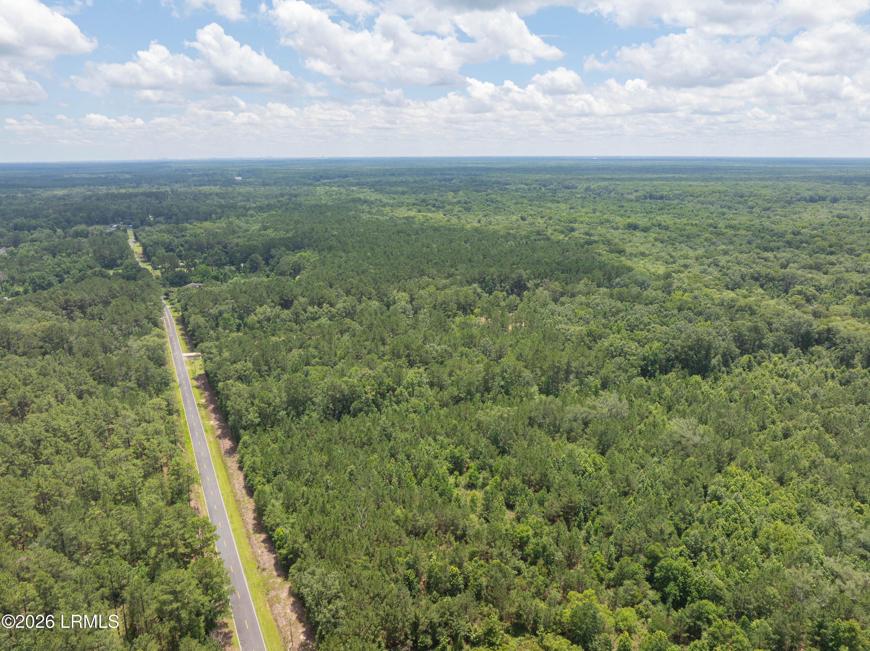 Tbd Purrysburg Road Hardeeville, SC 29927 - Photo 14 of 19 Purrysburg Land-14
