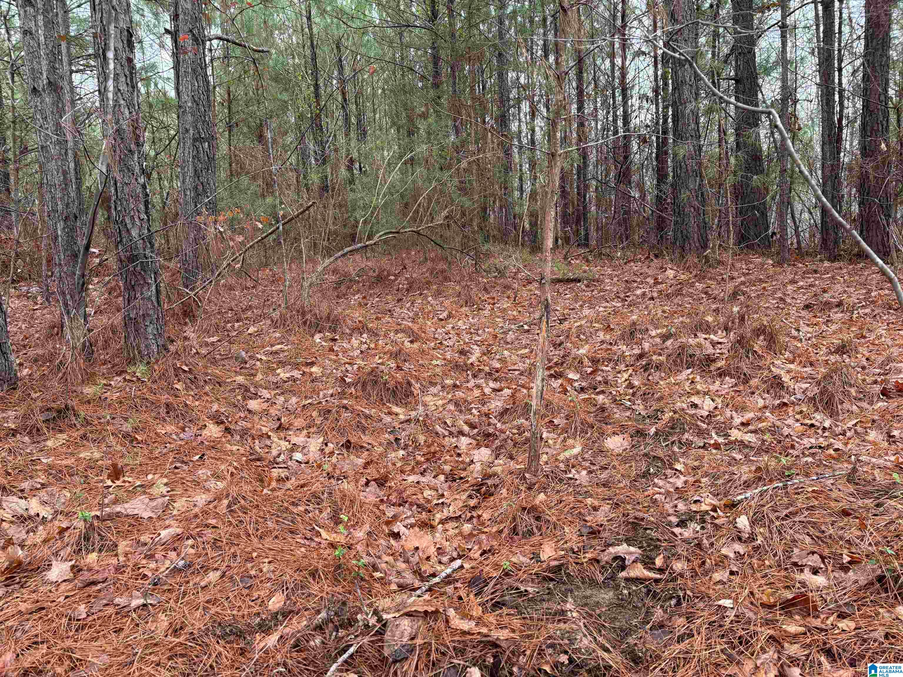 7380 Narrows Road, Unit 148 / ACRES Pinson, AL 35126 - Photo 22 of 22