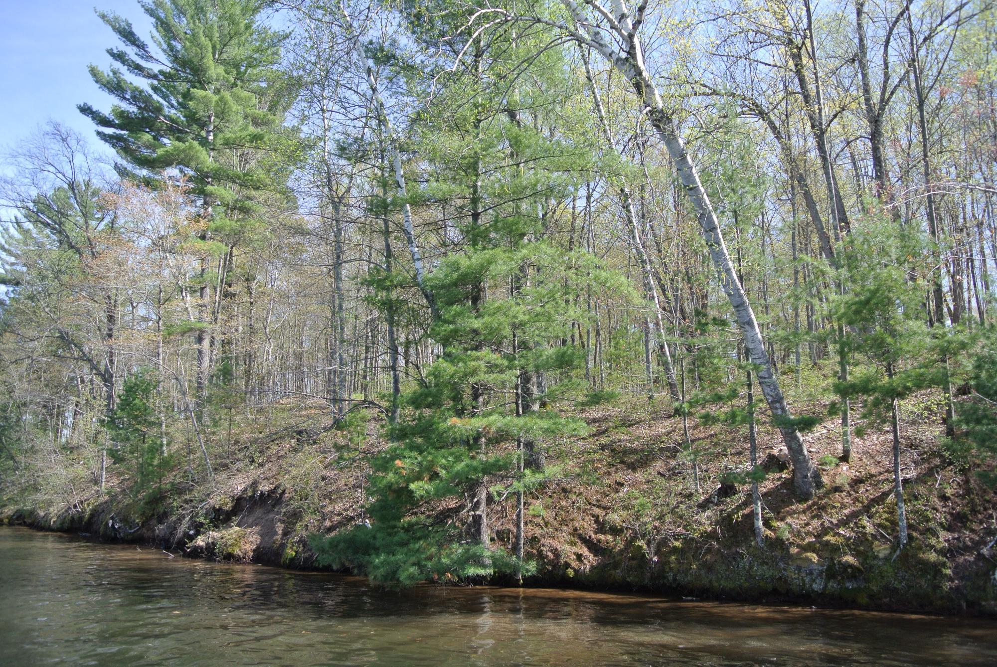 Lot 3 Big Ripley Island Minocqua, WI 54548 - Photo 9 of 20 Gallery Image 9