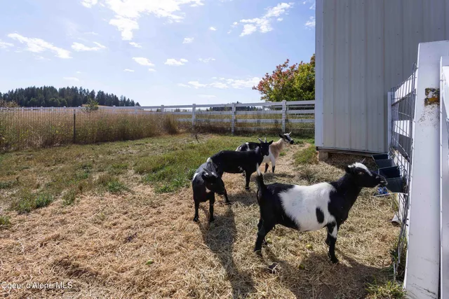 $900,000 | 18850 West Elder Road, Worley, ID 83876