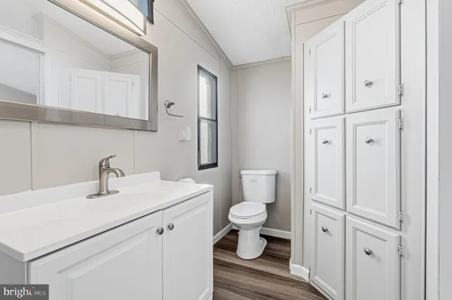 a bathroom with a sink toilet and vanity
