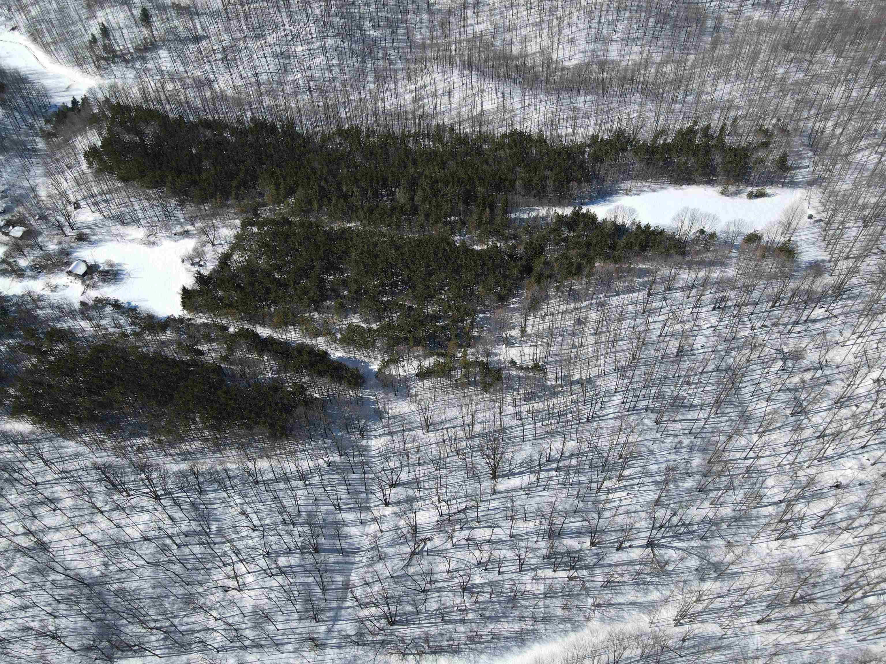 0 South Schomberg Road Cedar, MI 49621 - Photo 53 of 70