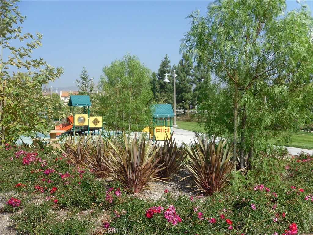 11 Brookhollow Irvine, CA 92602 - Photo 36 of 41 a view of a garden with plants