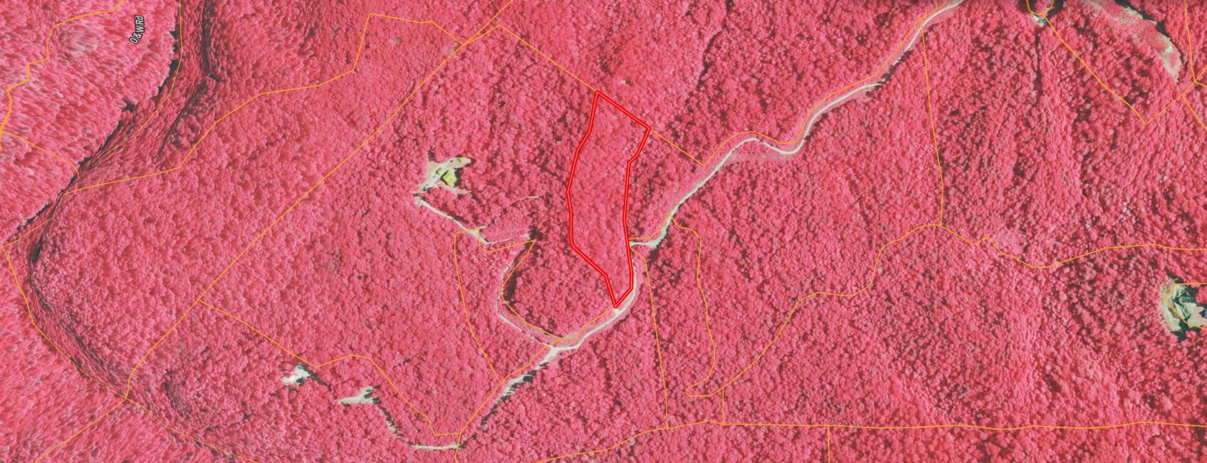 0 Airport Road Oneida, TN 37841 - Photo 6 of 7 2026-03-25_20-59-13