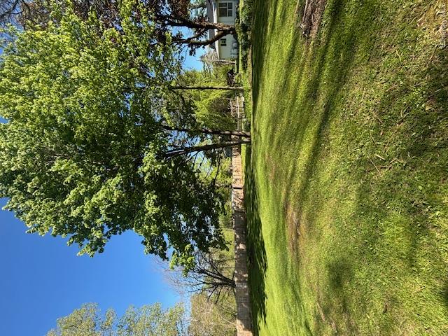 29 West Kerley Corners Road Red Hook, NY 12571 - Photo 24 of 39 a garden view with trees