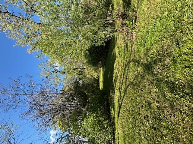 29 West Kerley Corners Road Red Hook, NY 12571 - Photo 25 of 39 a view of outdoor space and yard