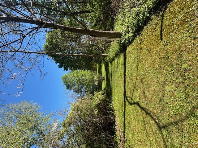 29 West Kerley Corners Road Red Hook, NY 12571 - Photo 26 of 39 a view of a field with an trees in the background