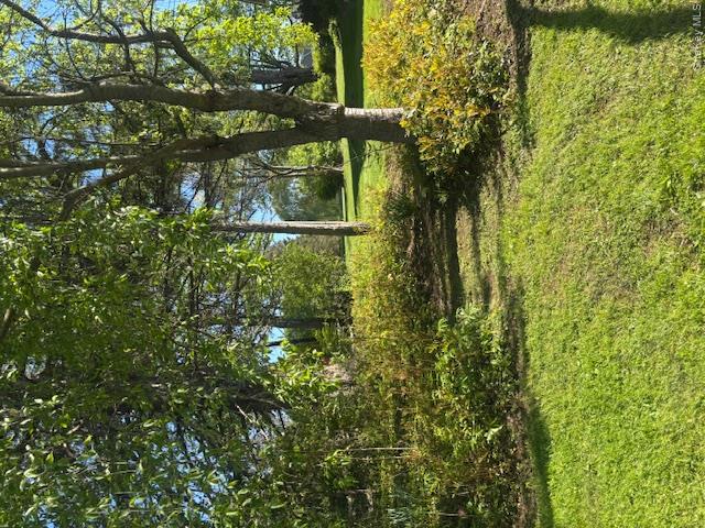 29 West Kerley Corners Road Red Hook, NY 12571 - Photo 30 of 39 a view of a yard with a tree